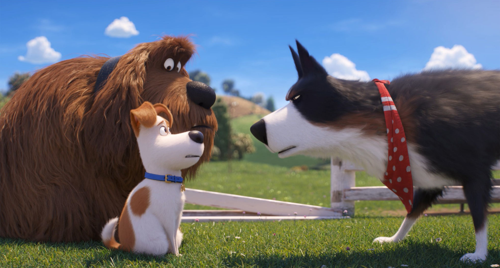 Secret Life of Pets 2